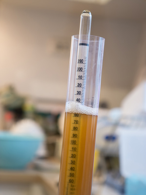 Comment mesurer le taux d'alcool d'une bière maison ? - Little Bock